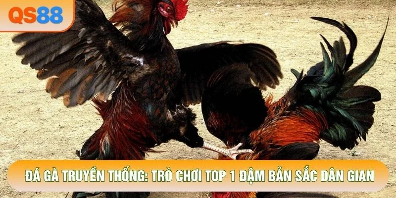 Đá Gà Truyền Thống: Trò Chơi Top 1 Đậm Bản Sắc Dân Gian