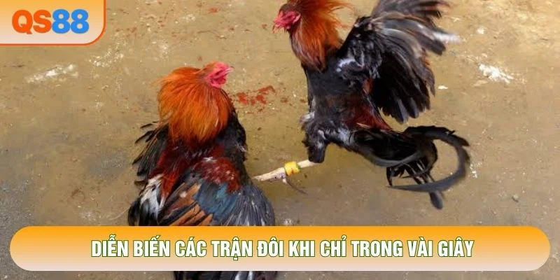 Diễn biến các trận đôi khi chỉ trong vài giây Diễn biến các trận đôi khi chỉ trong vài giây