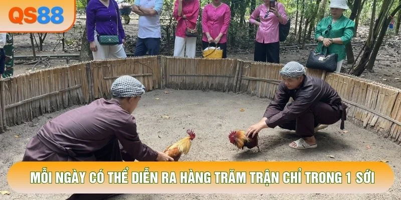 Mỗi ngày có thể diễn ra hàng trăm trận chỉ trong 1 sới Mỗi ngày có thể diễn ra hàng trăm trận chỉ trong 1 sới