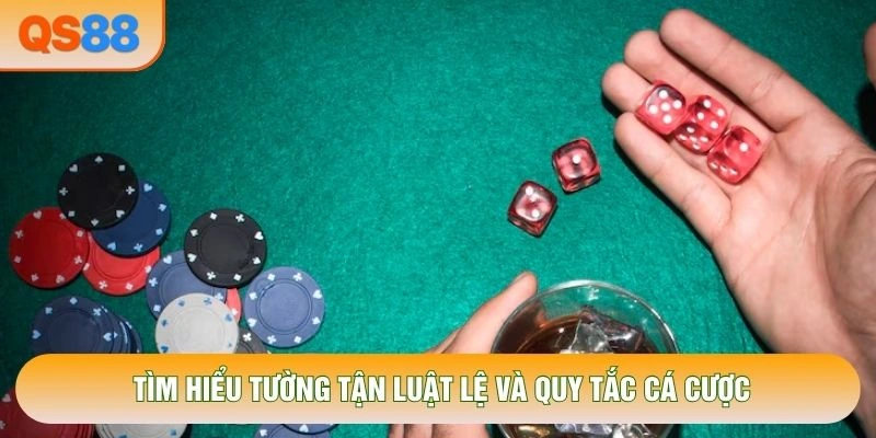 Tìm hiểu tường tận luật lệ và quy tắc cá cược Tìm hiểu tường tận luật lệ và quy tắc cá cược