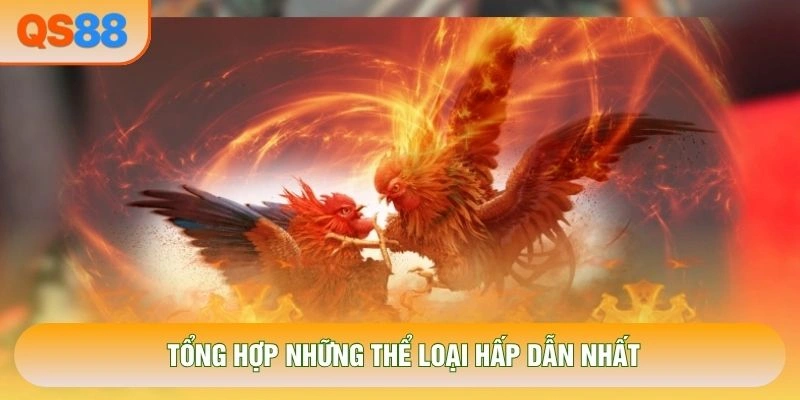 Tổng hợp những thể loại hấp dẫn nhất Tổng hợp những thể loại hấp dẫn nhất