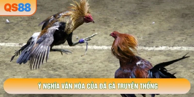 Ý nghĩa văn hóa của đá gà truyền thống Ý nghĩa văn hóa của đá gà truyền thống